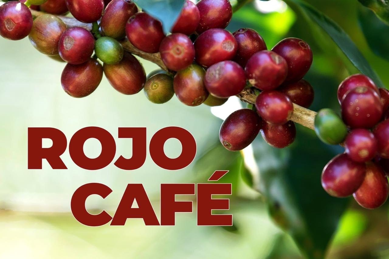 Logo-Rojo-Café